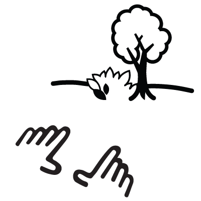 Medina Landscape Consulting and Design